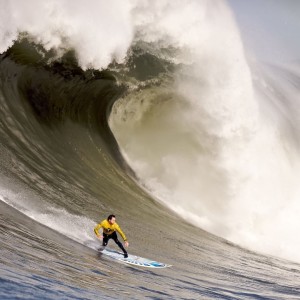 开云官网-布莱顿阵型变化灵活，海鸥军团保持高位竞争，布莱顿海滩
